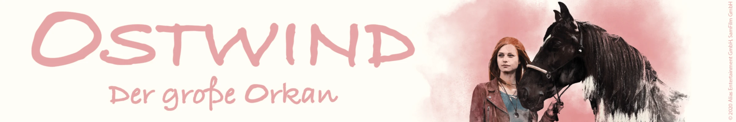 Bannerbild von Ostwind Der grosse Orkan