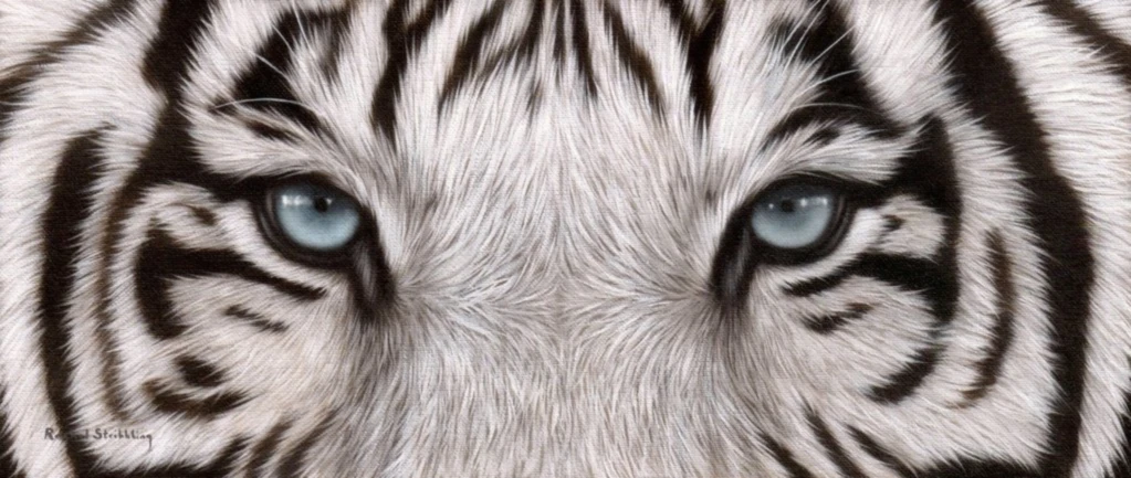 Bannière de Alexander BC