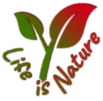 Banner image of Vince on Tour