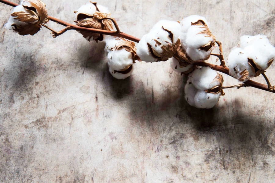 Banner image of Weissgold