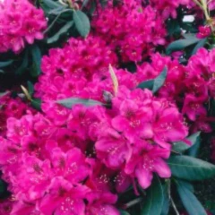 Bannerbild von Christiane