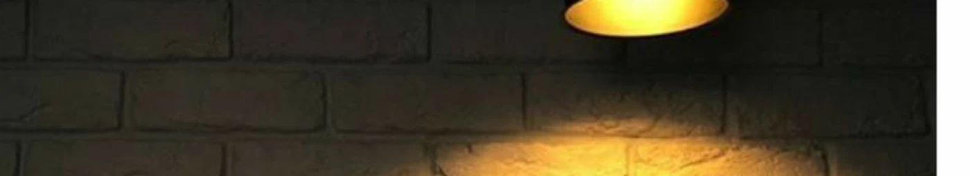 Banner image of Hemi9881