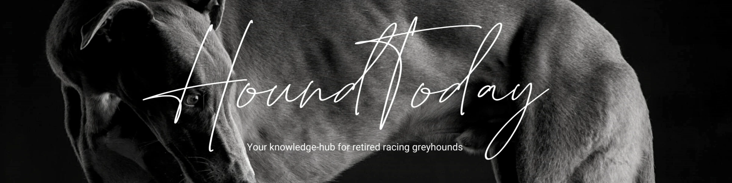 Banner image of HoundToday