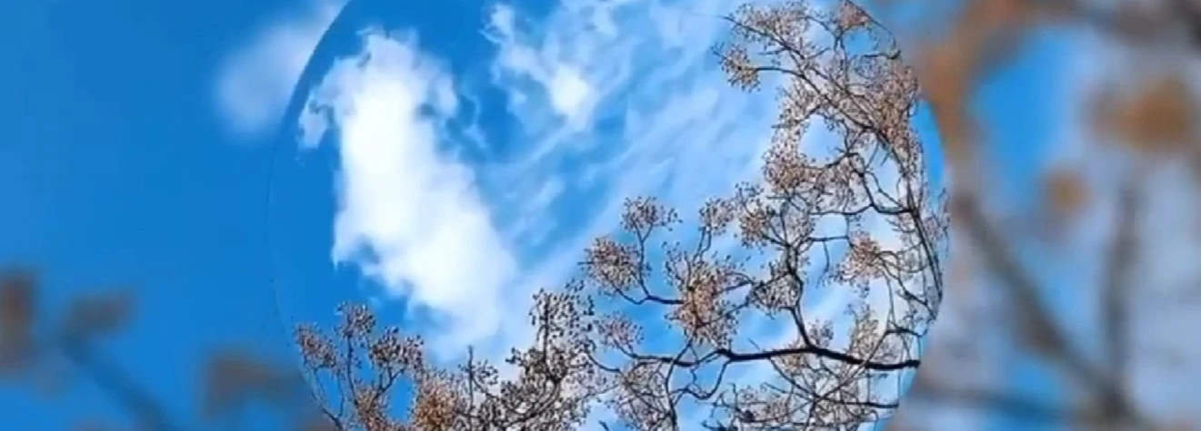 Banner image of Merch