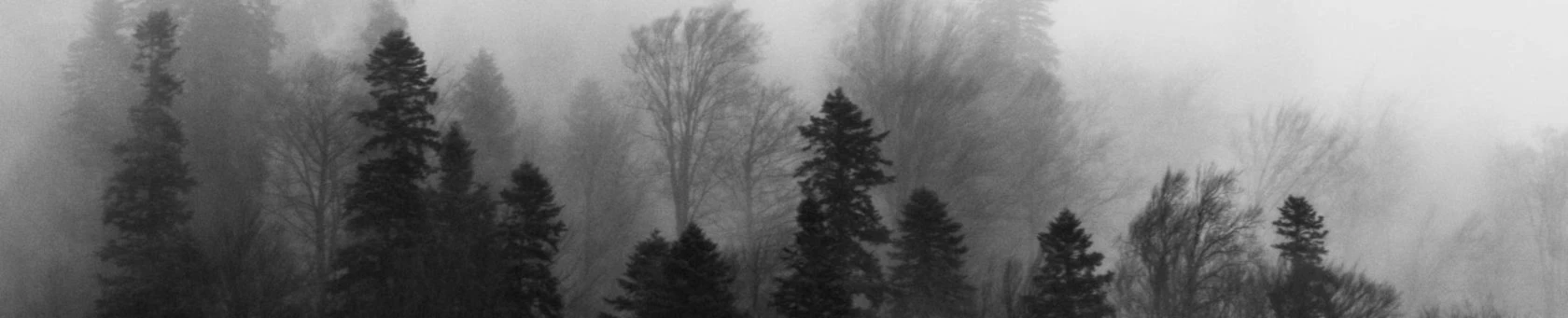 Bannerbild von DK Art