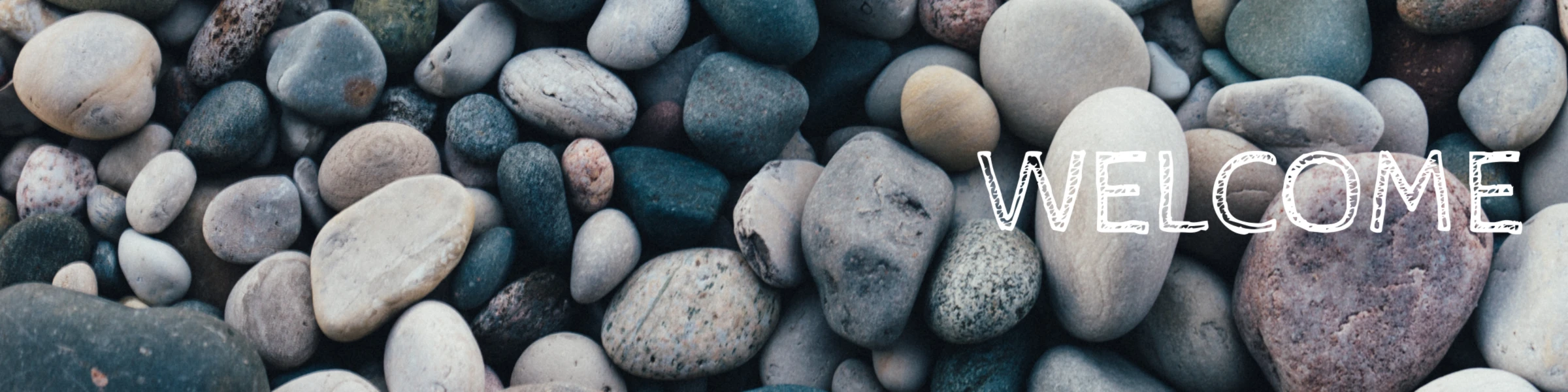 Bannière de TheStudioBee