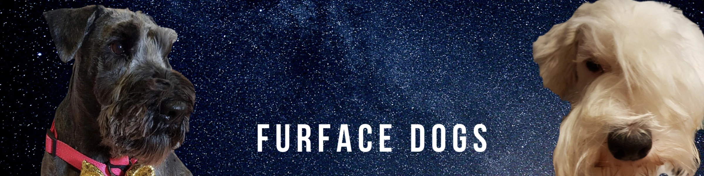 Bannière de FURFACE dogs