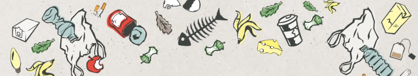 Bannerbild von Bioohneplaste