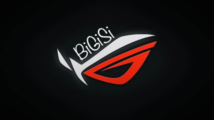 Bannerbild von BiGiSi
