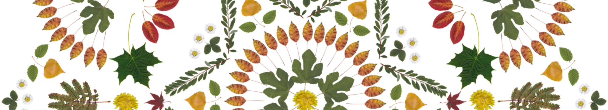 Bannière de Kuntergruene Kunst