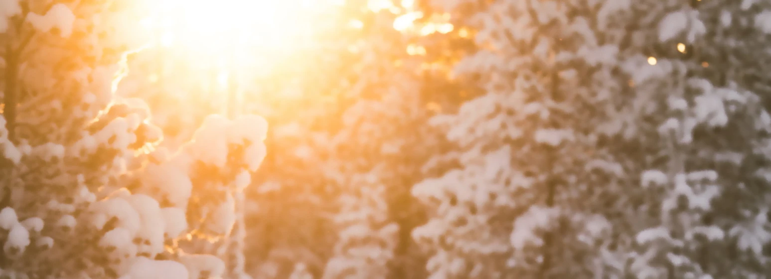 Banner image of HaveHope