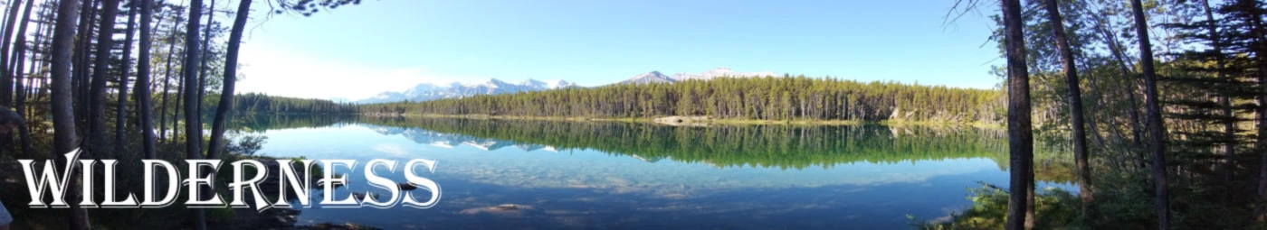 Banner image of Rawrsome Designs