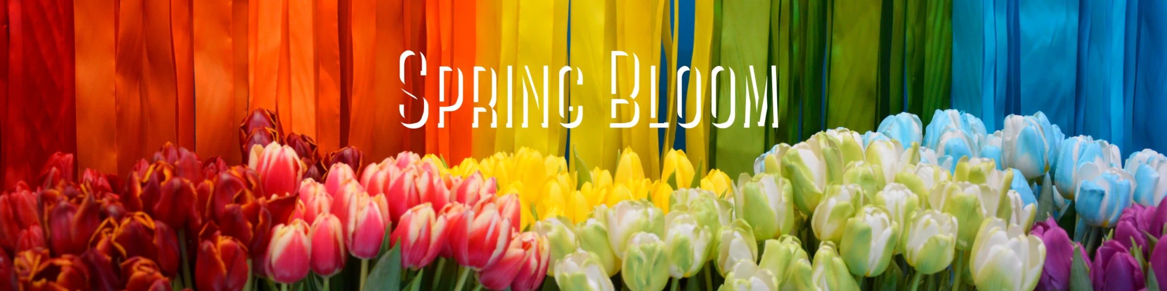 Bannière de SpringBloom