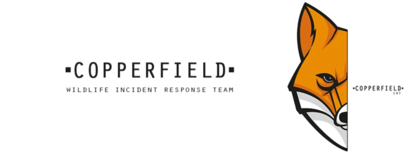 Banner image of COPPERFIELD-IRT