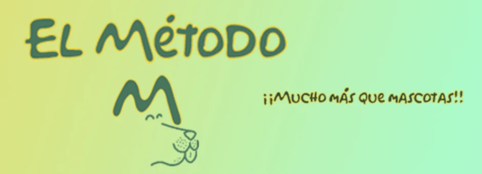 Banner image of elmetodom