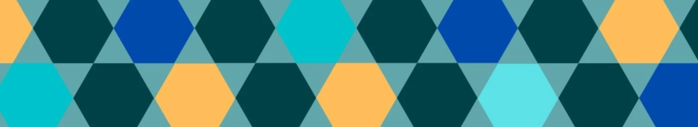 Banner image of Leslie