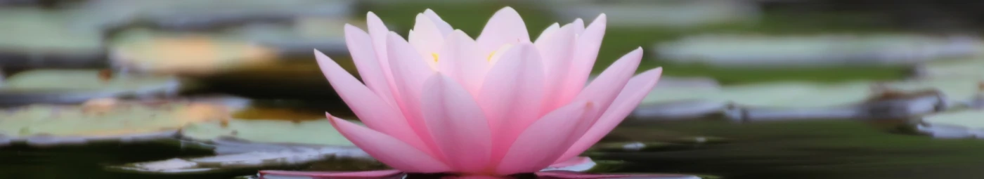 Bannière de VIBRATION POSITIVE