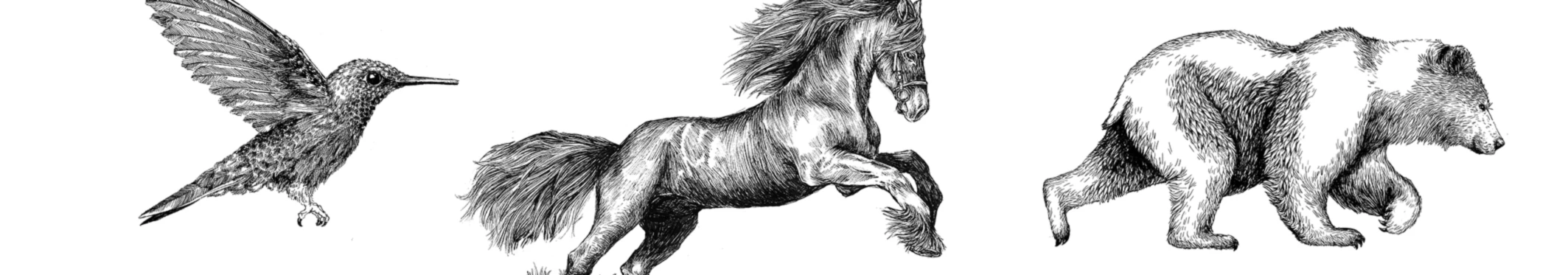 Banner image of Derudderdesign