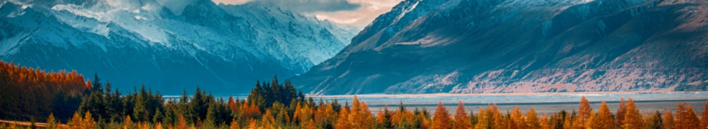 Banner image of creativeleader