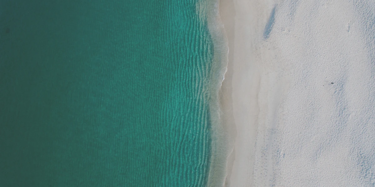 Banner image of TheDesignStudio