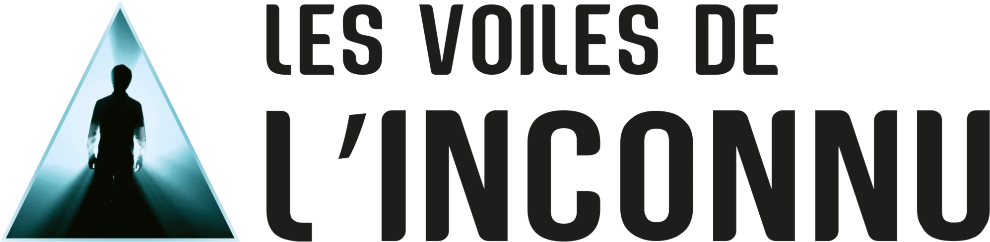 Bannière de VDI Association