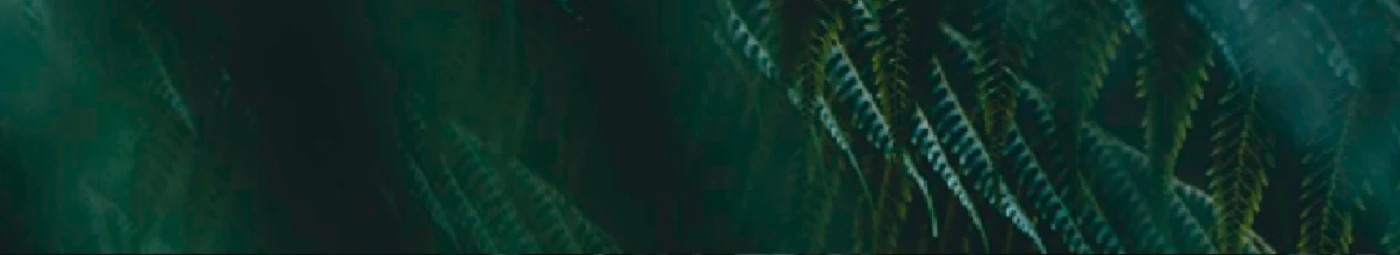 Banner image of Liah Designs