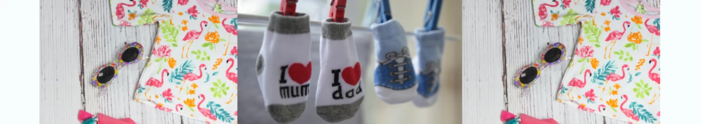 Banner image of Chaeferfaescht