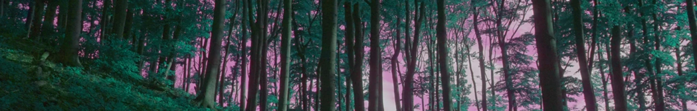 Bannière de - SAY IT OUT LOUD -