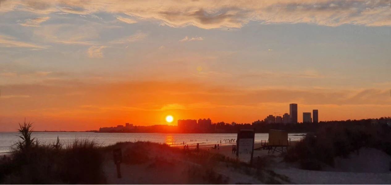 Banner image of SoleFreesun