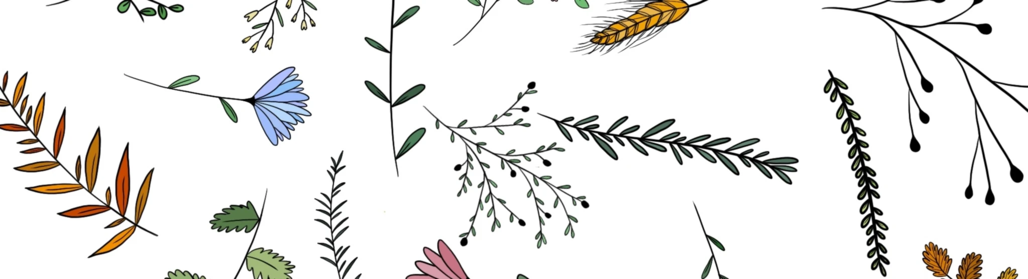 Banner image of KiP Designs