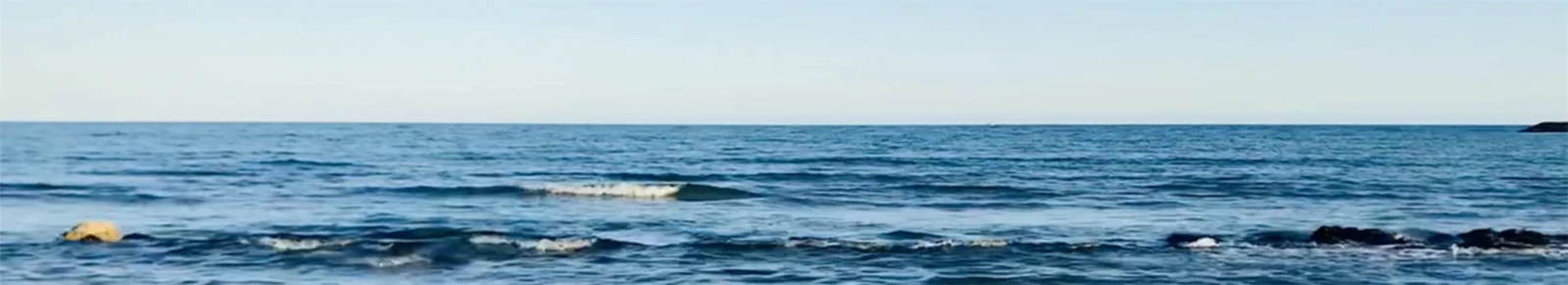 Banner image of Phanomai Petit