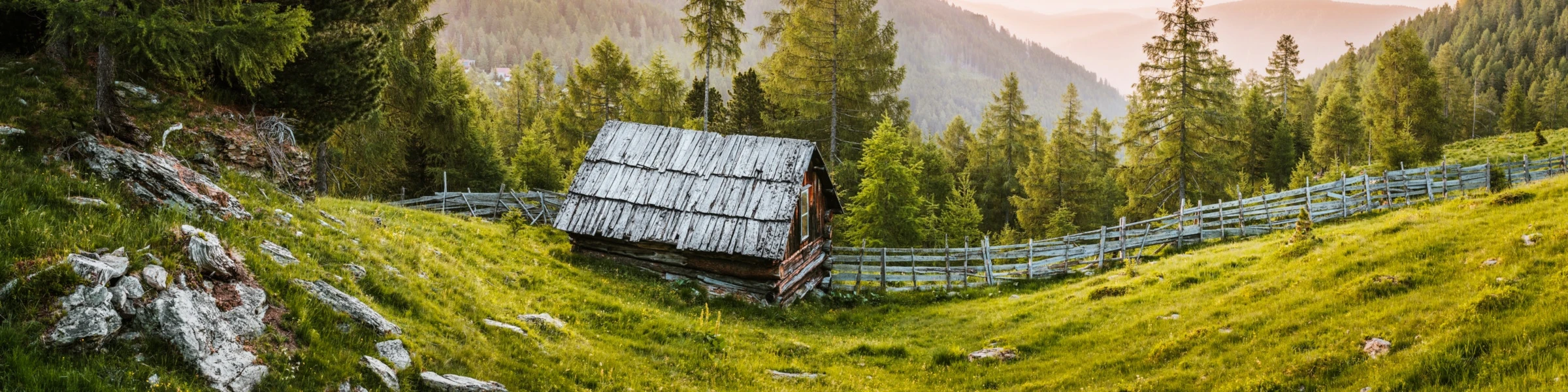 Banner image of Zsmart