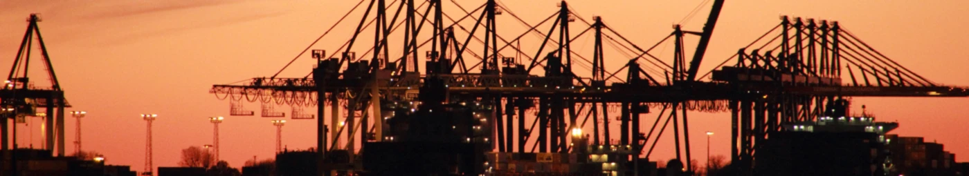 Banner image of Buttje Hamburg