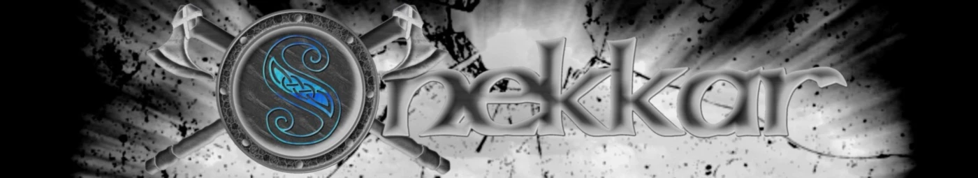 Bannière de Boutique snekkar the band