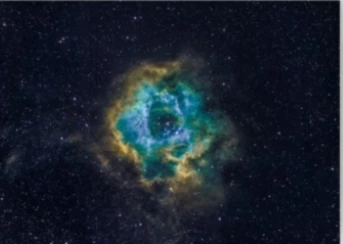 Banner image of Magdalena Rulez