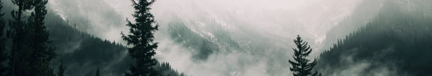 Bannerbild von hyggeson design