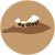 NoCoastShop