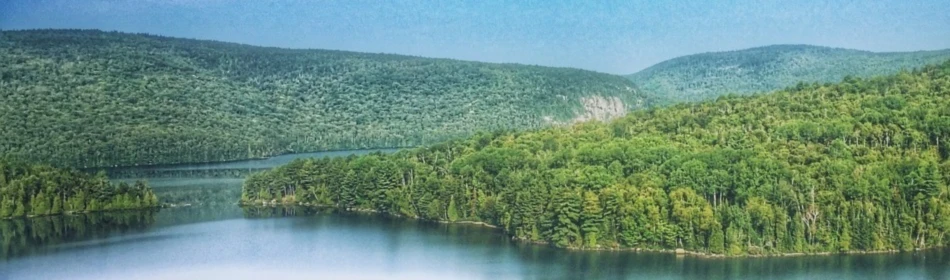 Banner image of le vivant