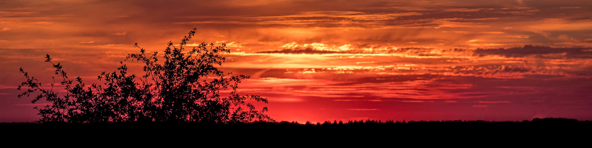 Banner image of artSchip