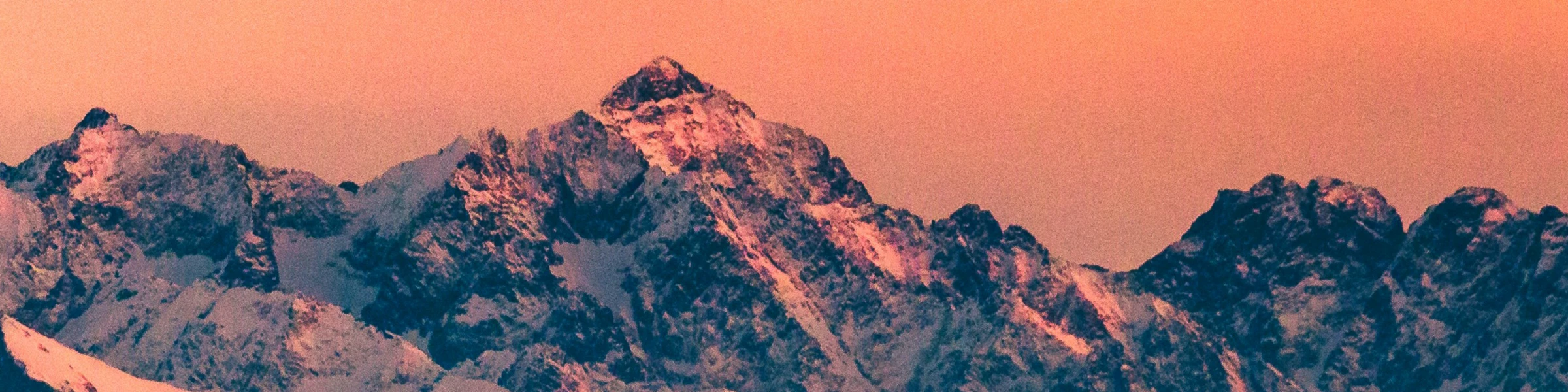 Banner image of MauccaDesigns