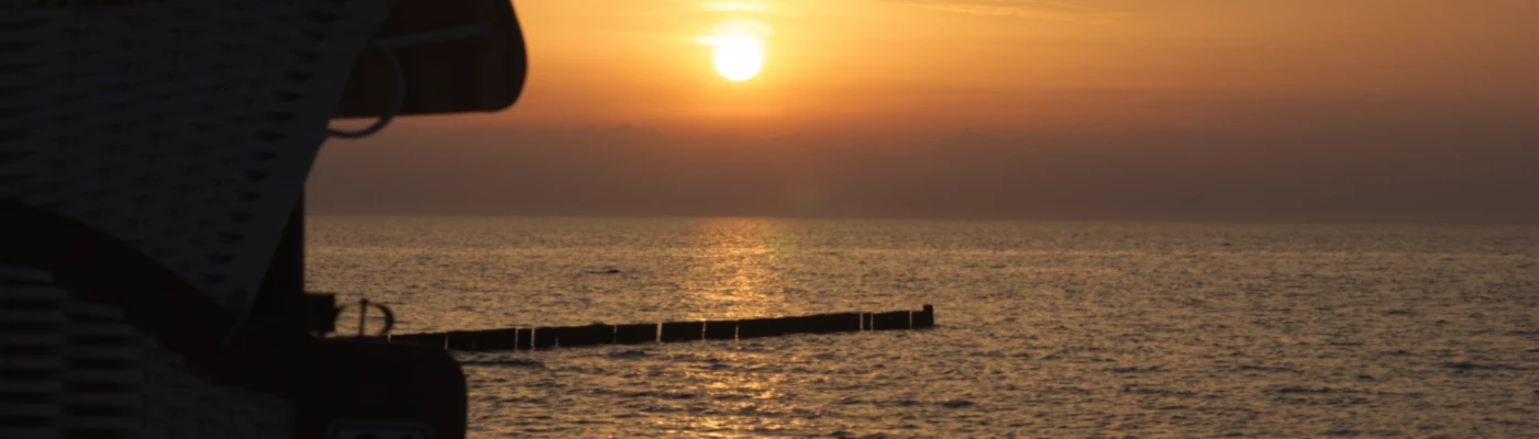 Banner image of smooart