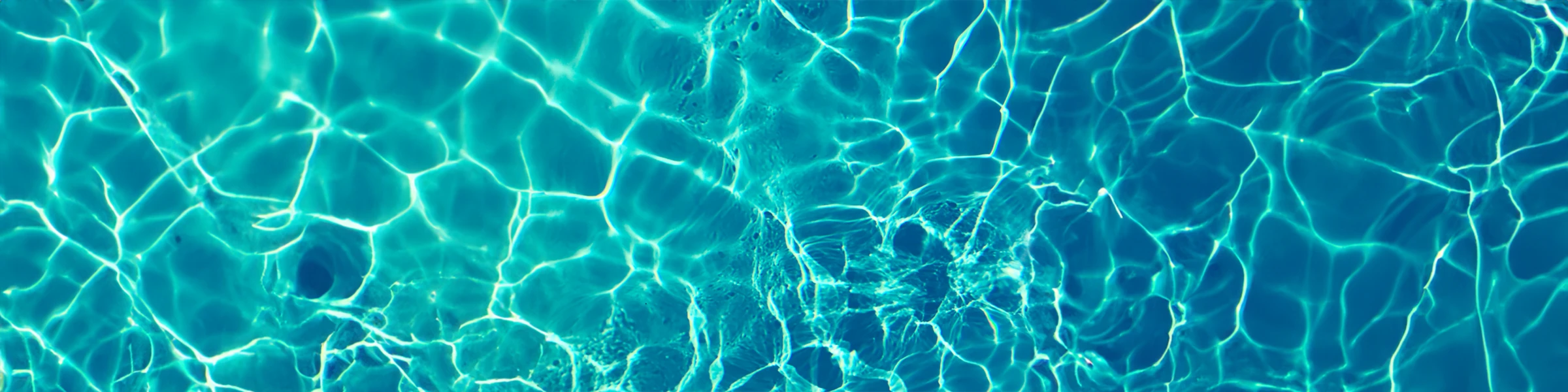 Banner image of Patrick21