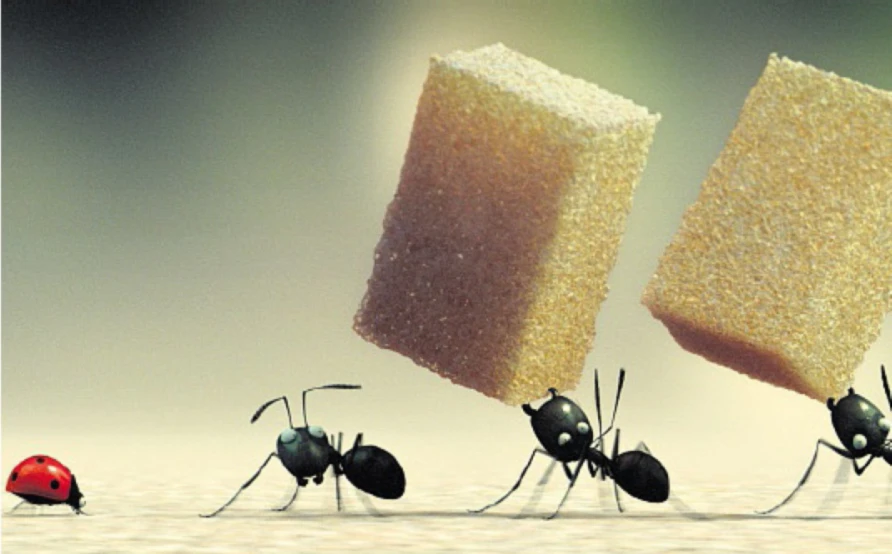 Banner image of kdesigner