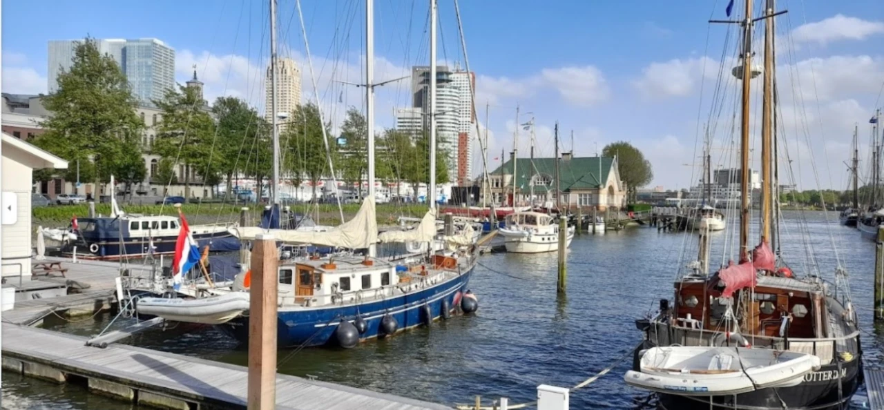 Banner image of Beyond Rotterdam