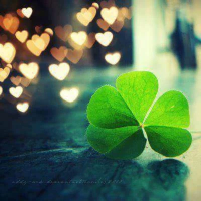 Banner image of Desiree