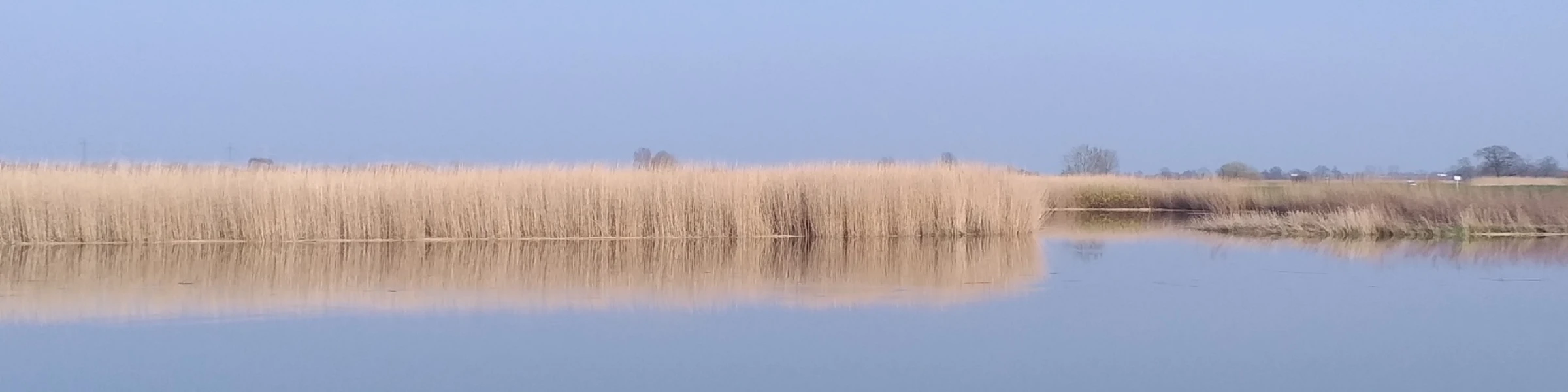 Bannerbild von Asmusart