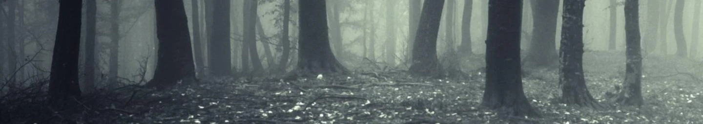 Banner image of Karuzo