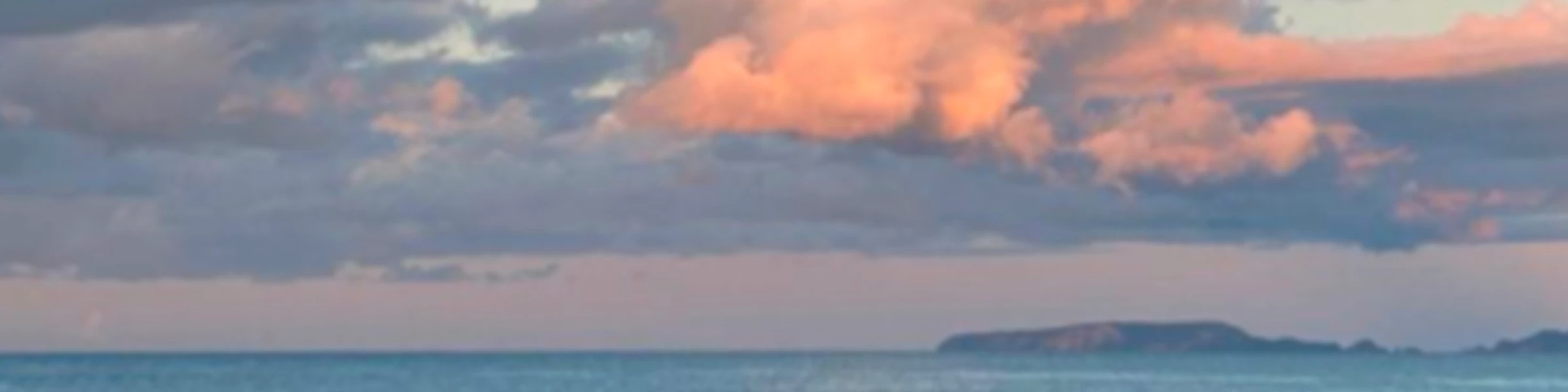 Bannerbild von surfwaves