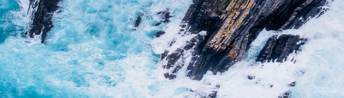 Banner image of LivingToGo