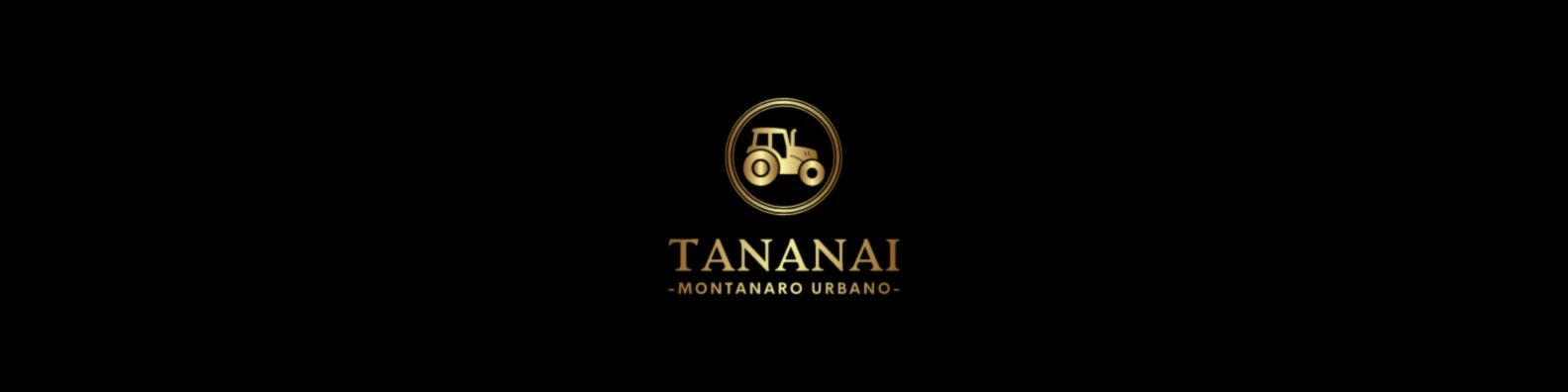 Bannerbild von Tananai